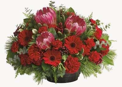 Christmas Flower