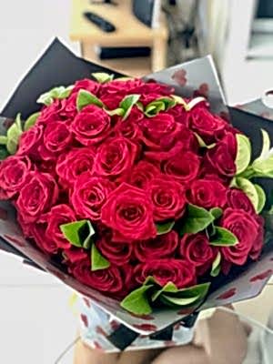 Red Roses